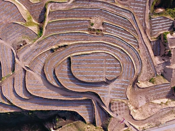 厉害了,横山宽幅梯田缘何引来16家媒体围观