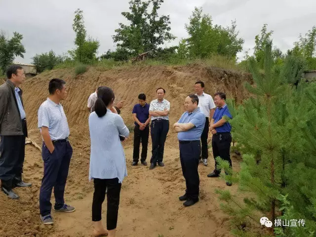 1501758362505795.jpg 3.jpg