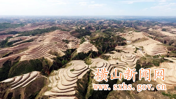 1529976519802973.jpg 640.webp_