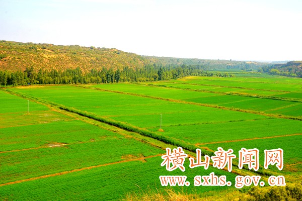 1531297224751765.jpg QQͼƬ20180709102002.jpg