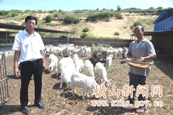 1531297247504891.jpg QQͼƬ20180709102017.jpg