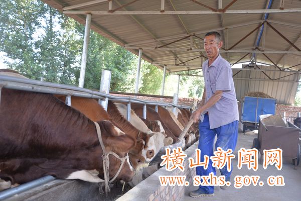 1531297254399636.jpg QQͼƬ20180709102011.jpg